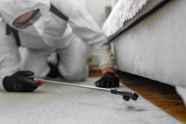 Professional Termite Control technician working in Oakland, FL