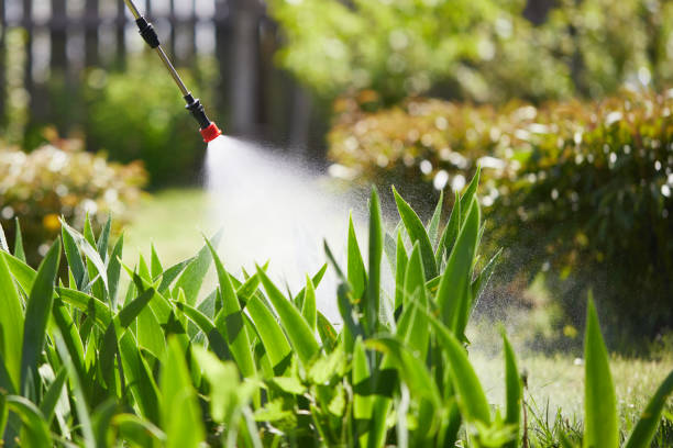 24/7 Emergency Termite Control experts in Oakland, FL