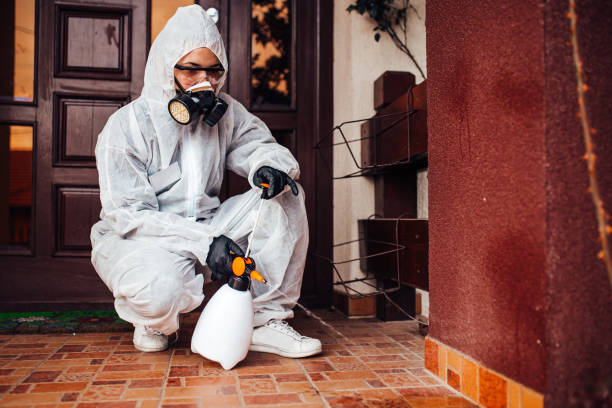 Reliable Termite Control contractor in Oakland, FL by Nex Pest Control