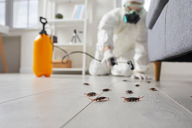 Affordable Termite Control solutions in Oakland, FL