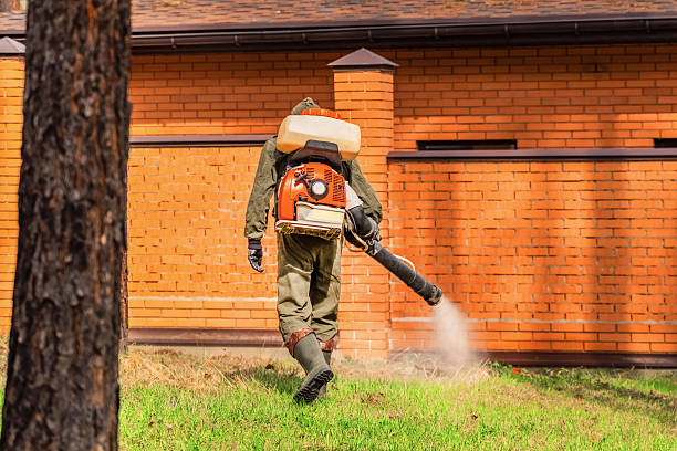 Top rated local Termite Control specialists in Oakland, FL